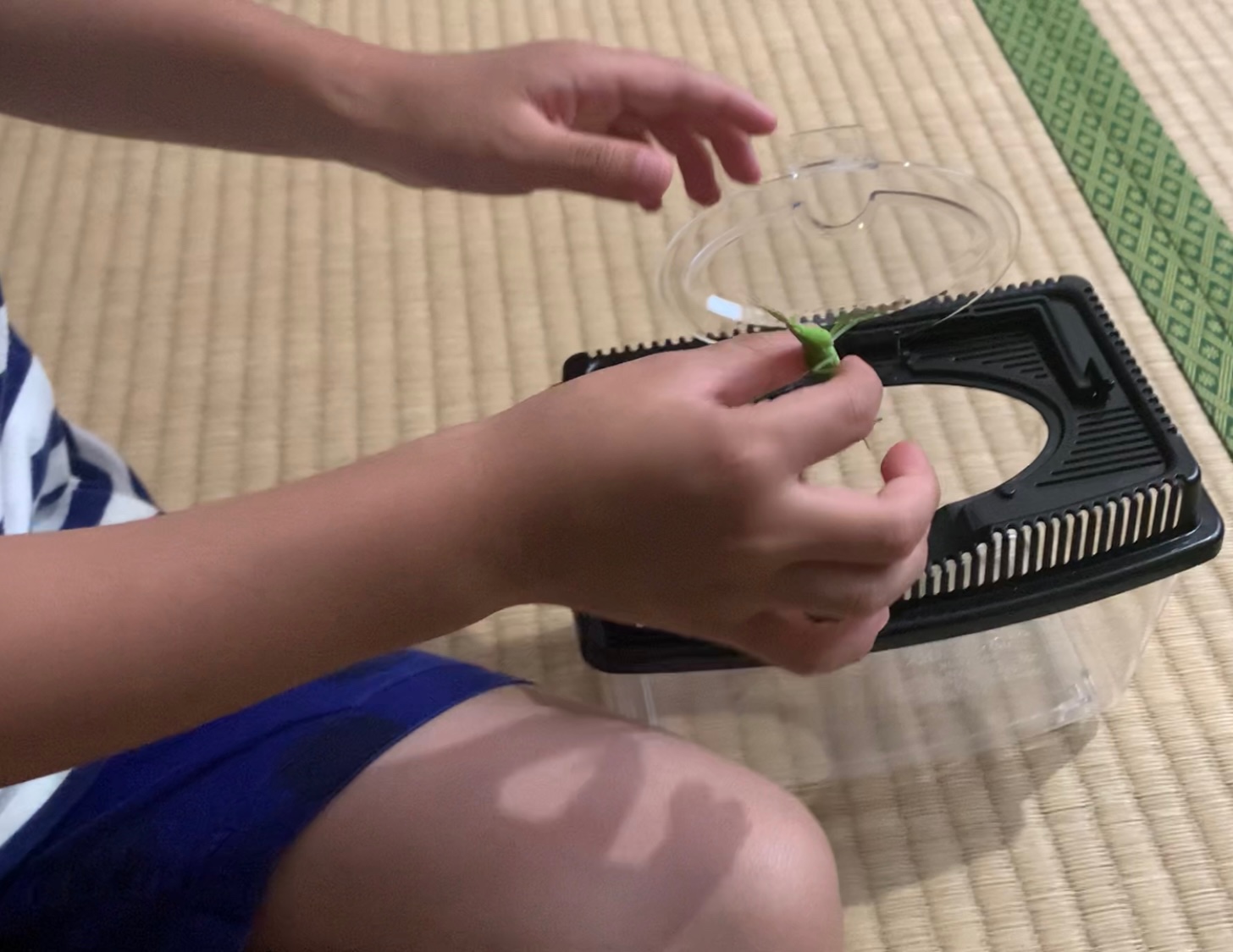 クリックで拡大(撮影:中野龍三)。