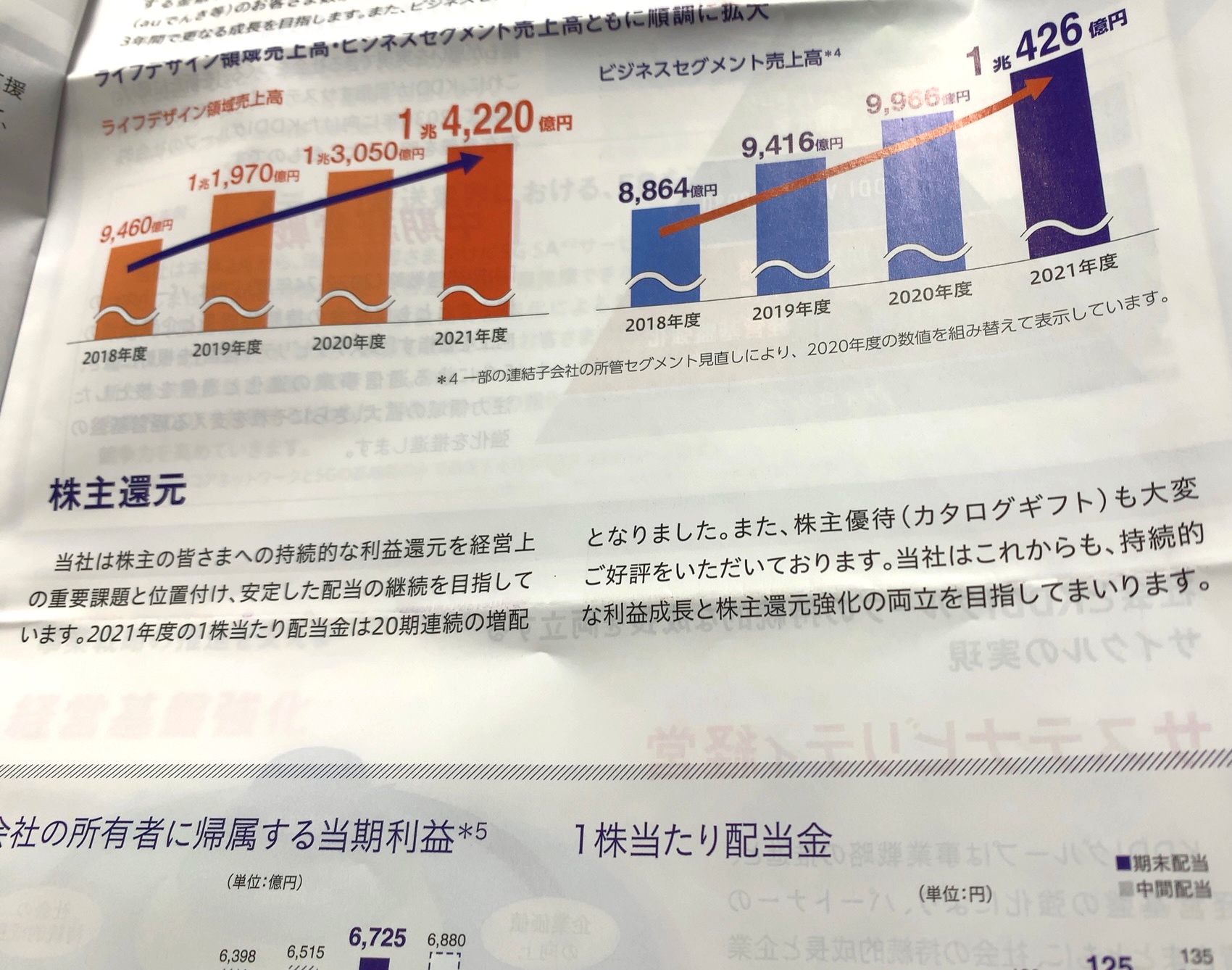 クリックで拡大(撮影:中野龍三)。