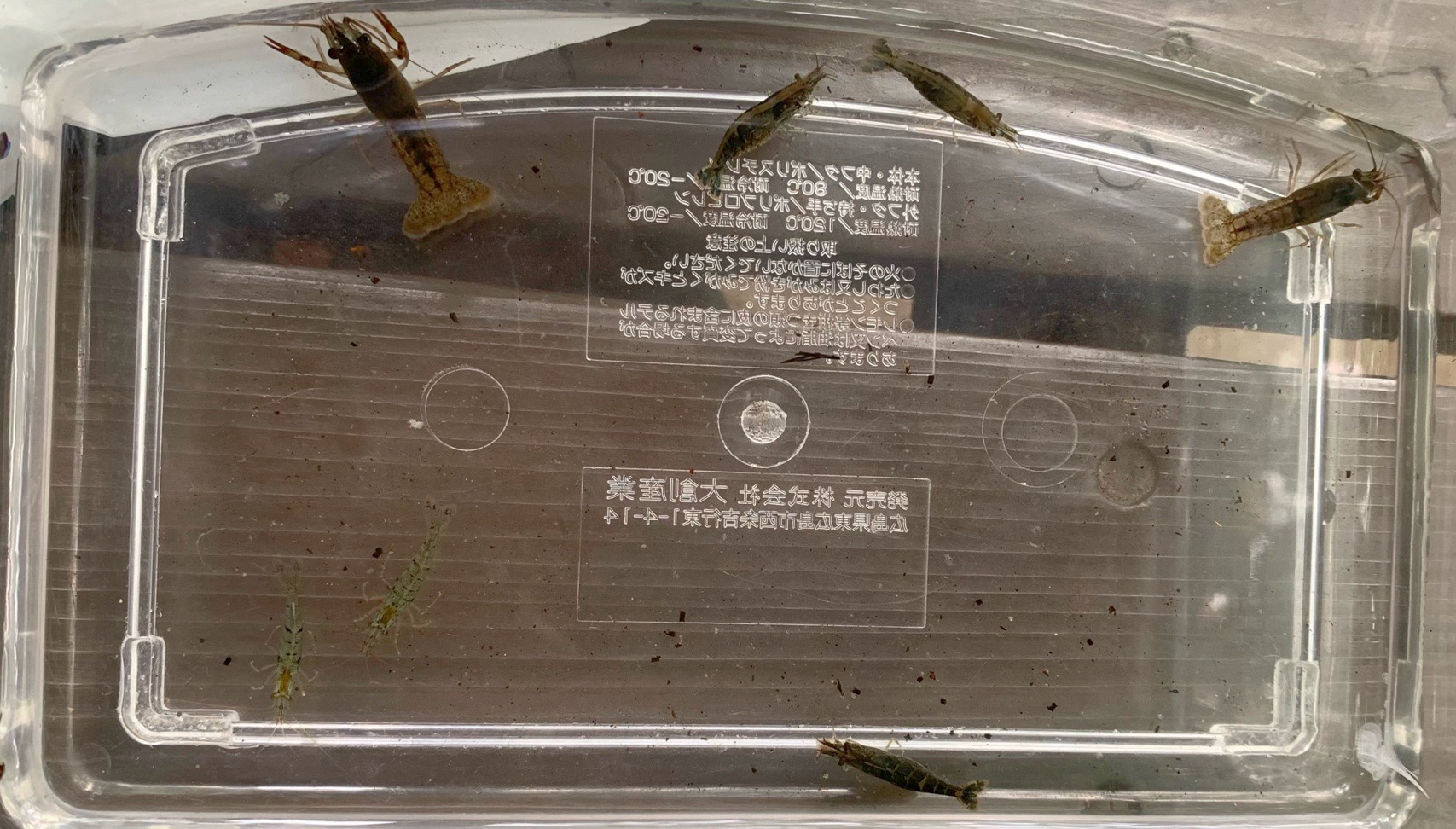 クリックで拡大(撮影:中野龍三)。