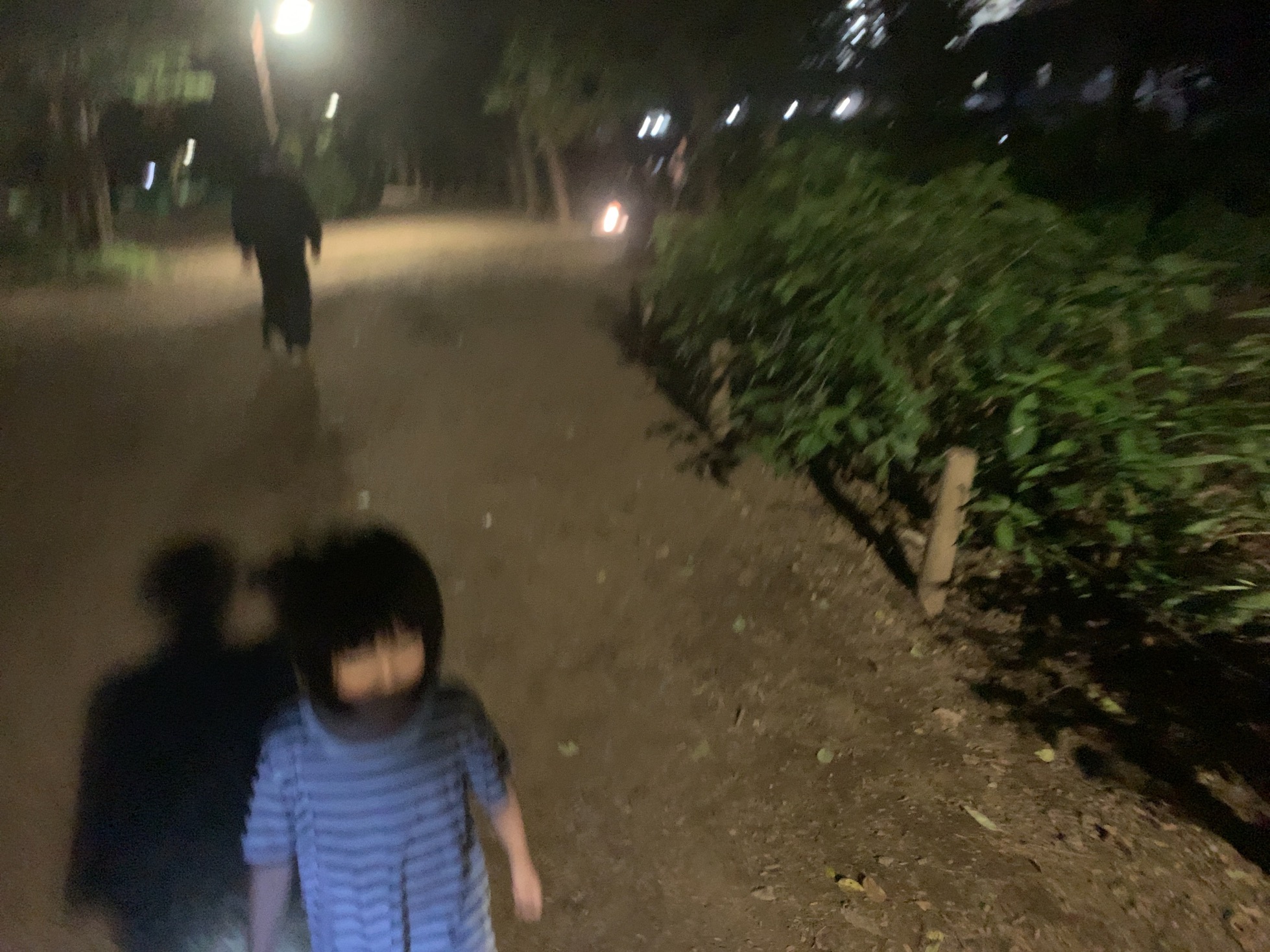 クリックで拡大(撮影:中野龍三)。