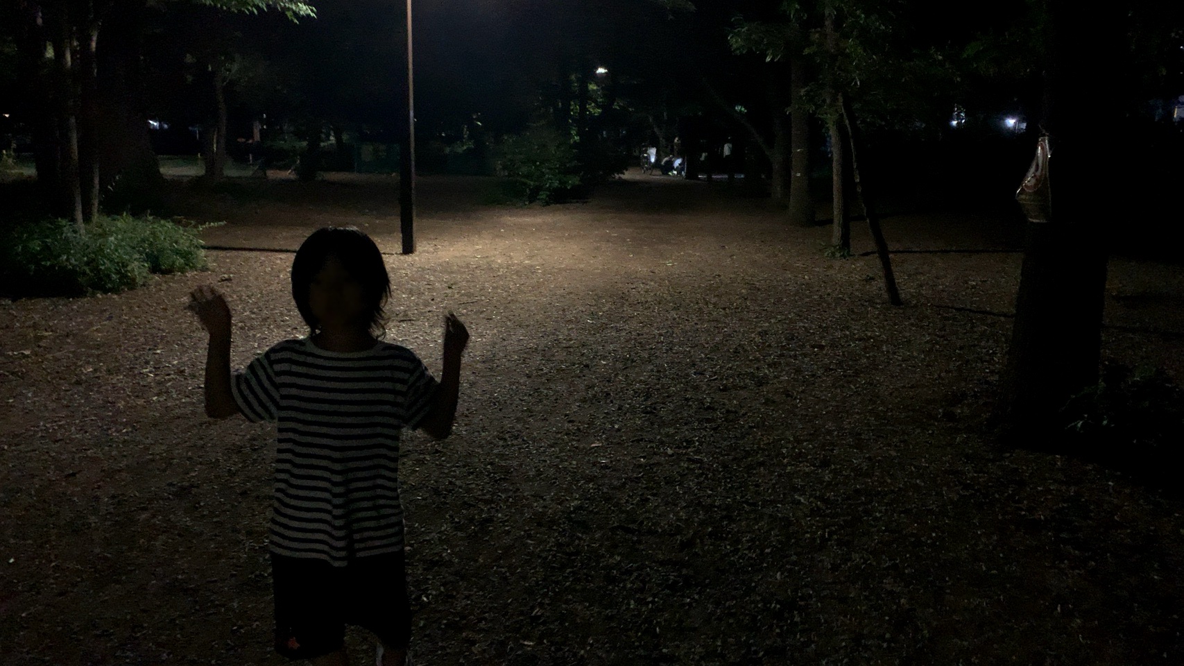 クリックで拡大(撮影:中野龍三)。