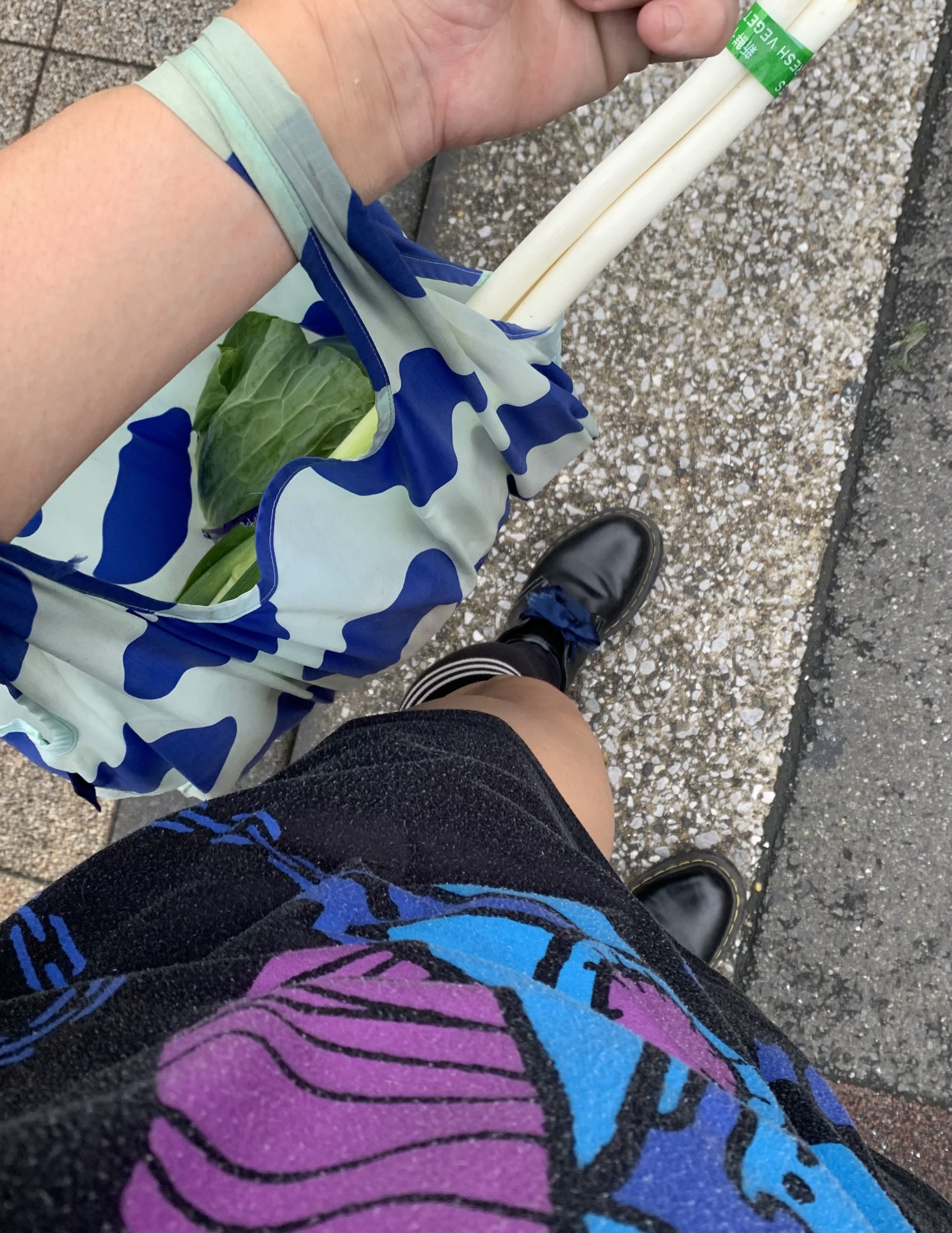 クリックで拡大(撮影:中野龍三)。