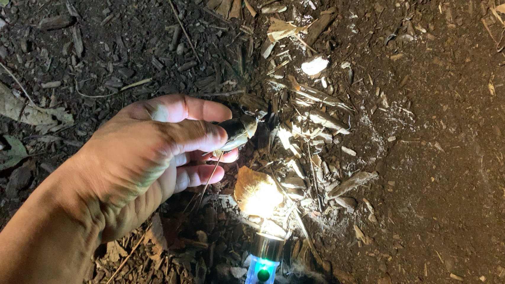 クリックで拡大(撮影:中野龍三)。