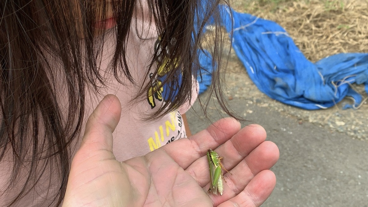 クリックで拡大(撮影:中野龍三)。
