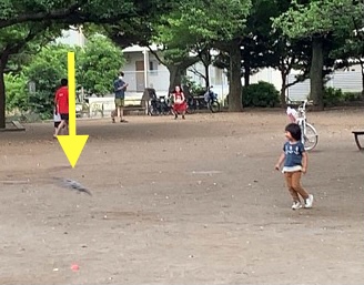 クリックで拡大(撮影:中野龍三)。