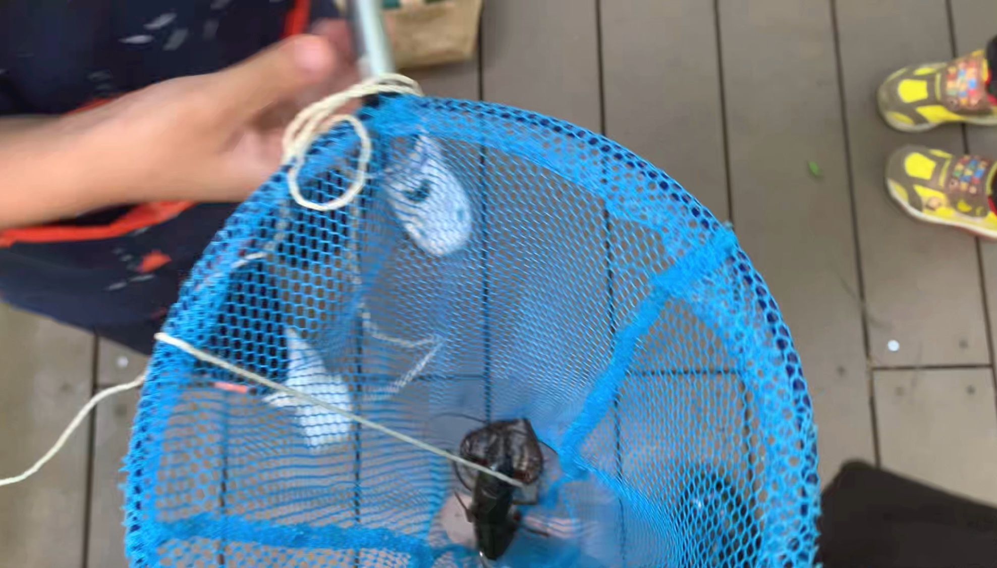 クリックで拡大(撮影:中野龍三)。