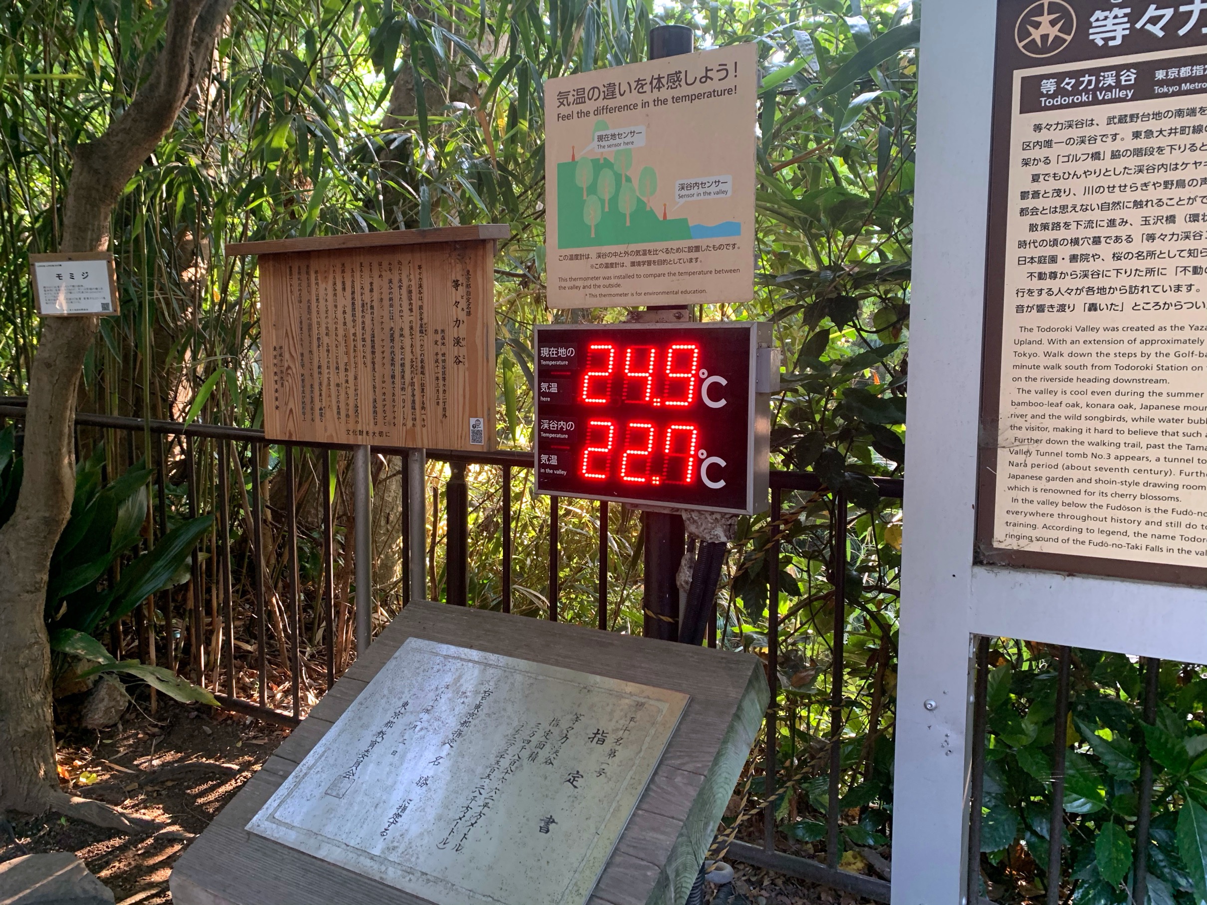 クリックで拡大(撮影:中野龍三)。