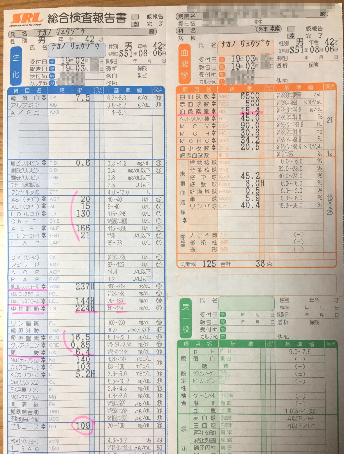 クリックで拡大(撮影:中野龍三)。
