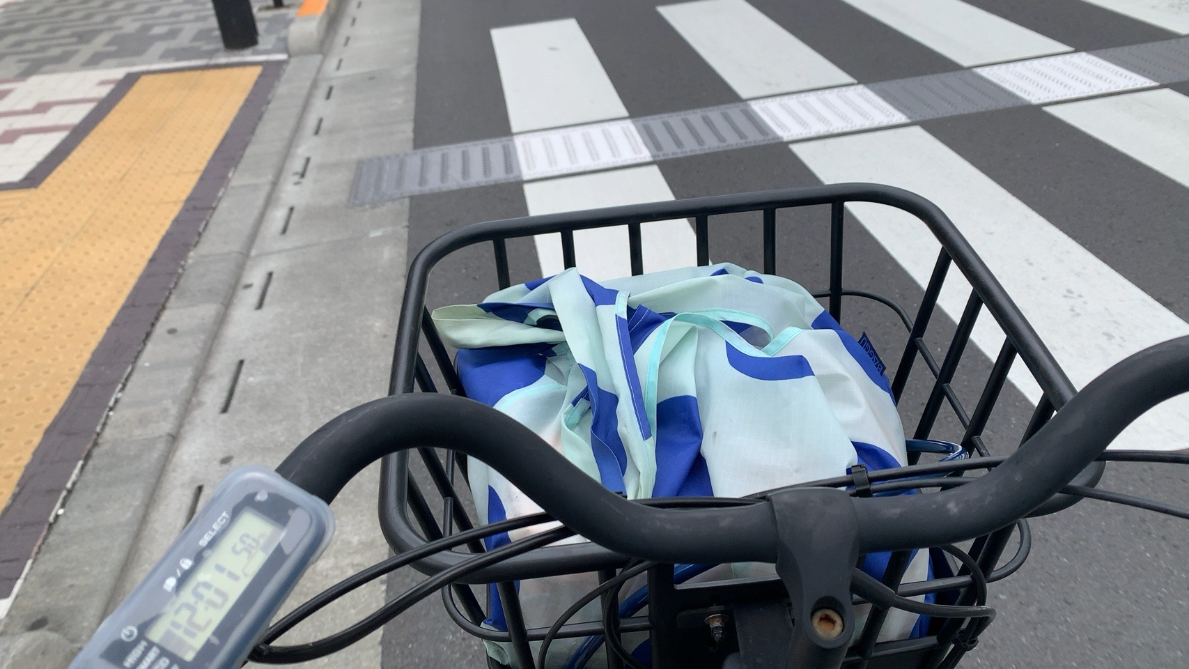 クリックで拡大(撮影:中野龍三)。