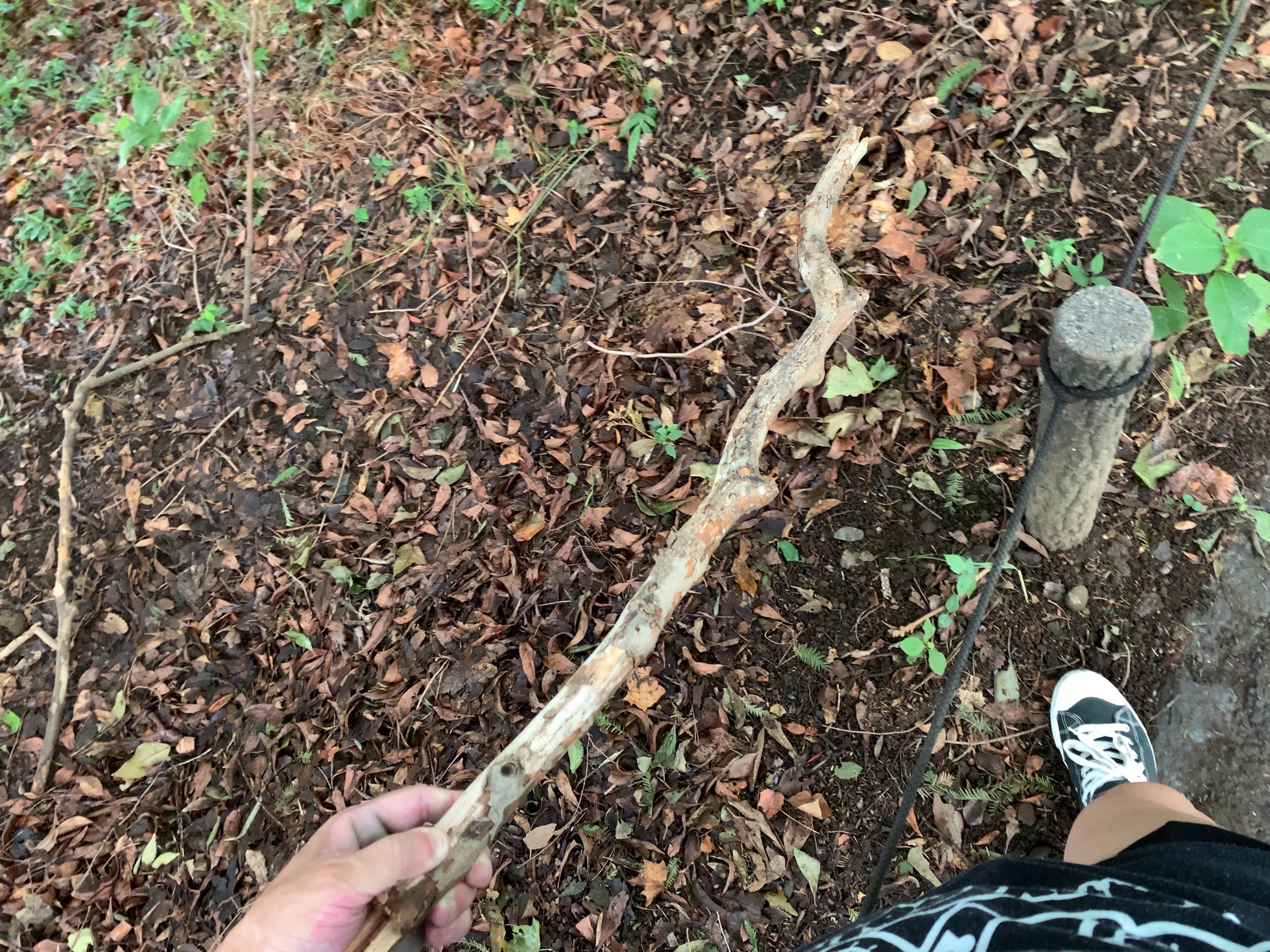 クリックで拡大(撮影:中野龍三)。