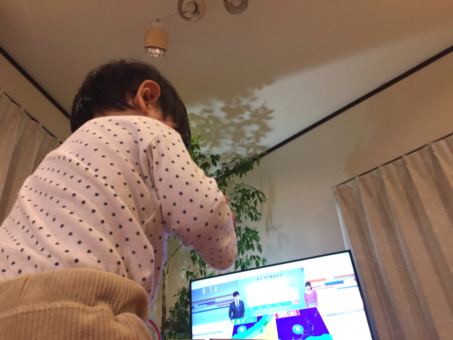 クリックで拡大(撮影:中野龍三)。