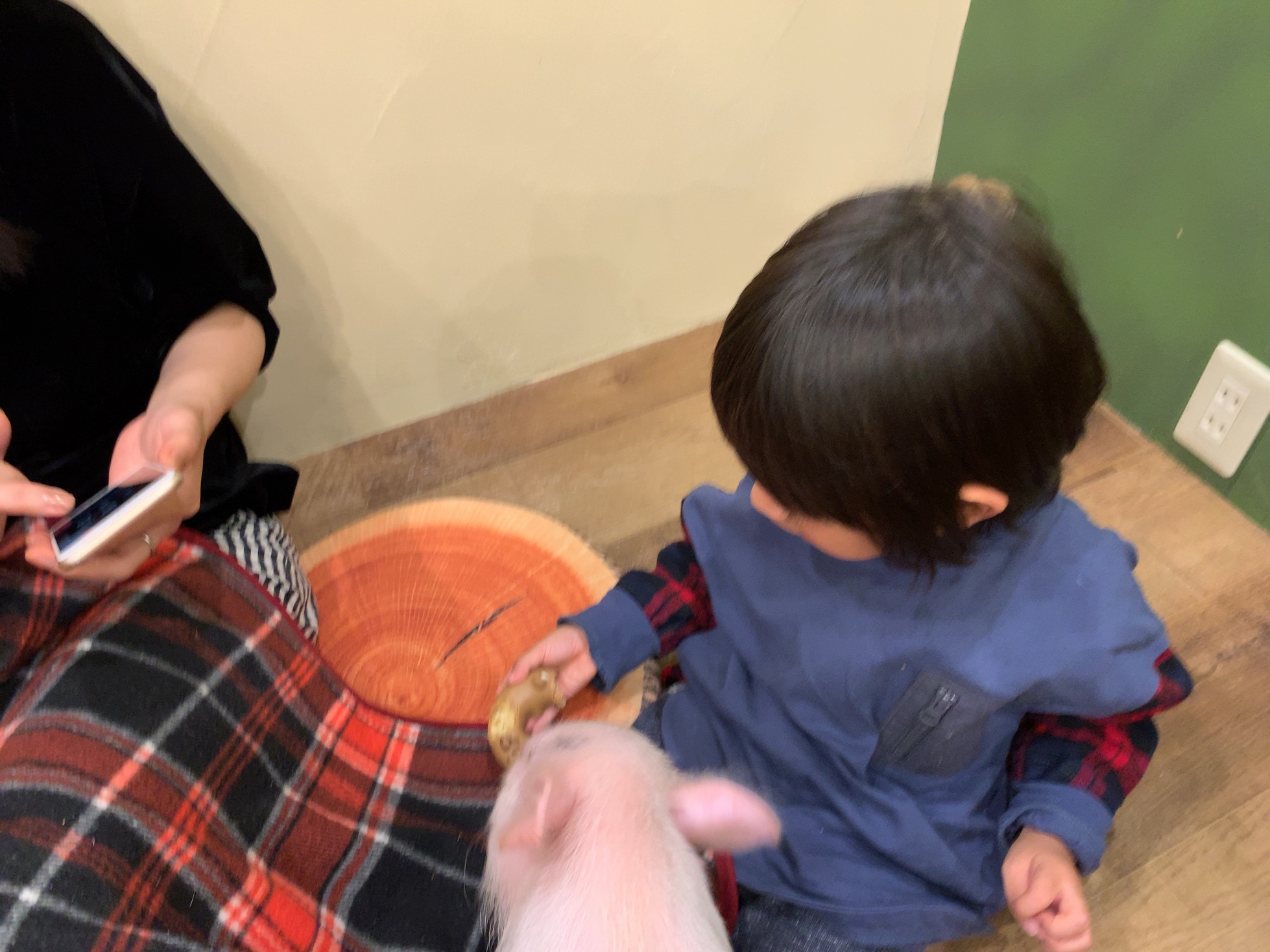 クリックで拡大(撮影:中野龍三)。