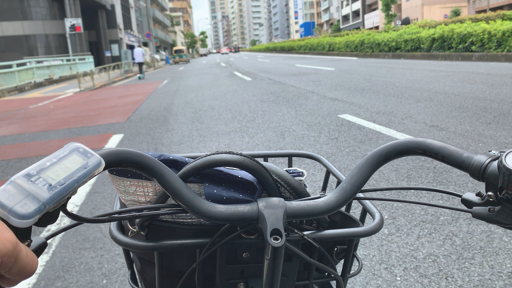クリックで拡大(撮影:中野龍三)。