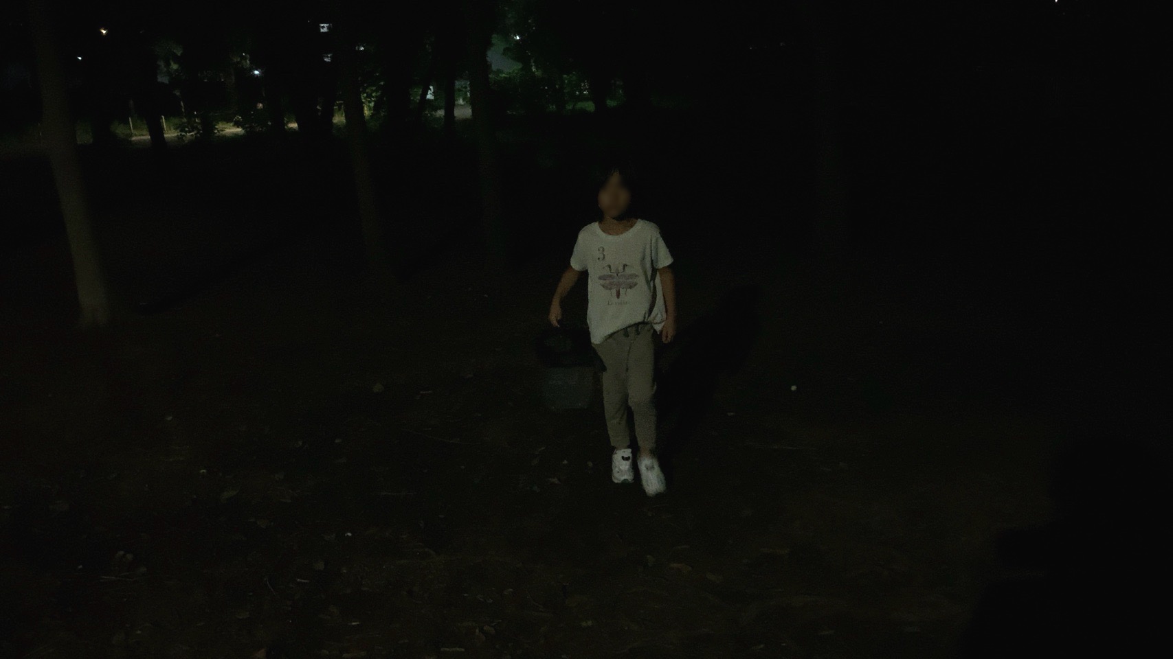 クリックで拡大(撮影:中野龍三)。