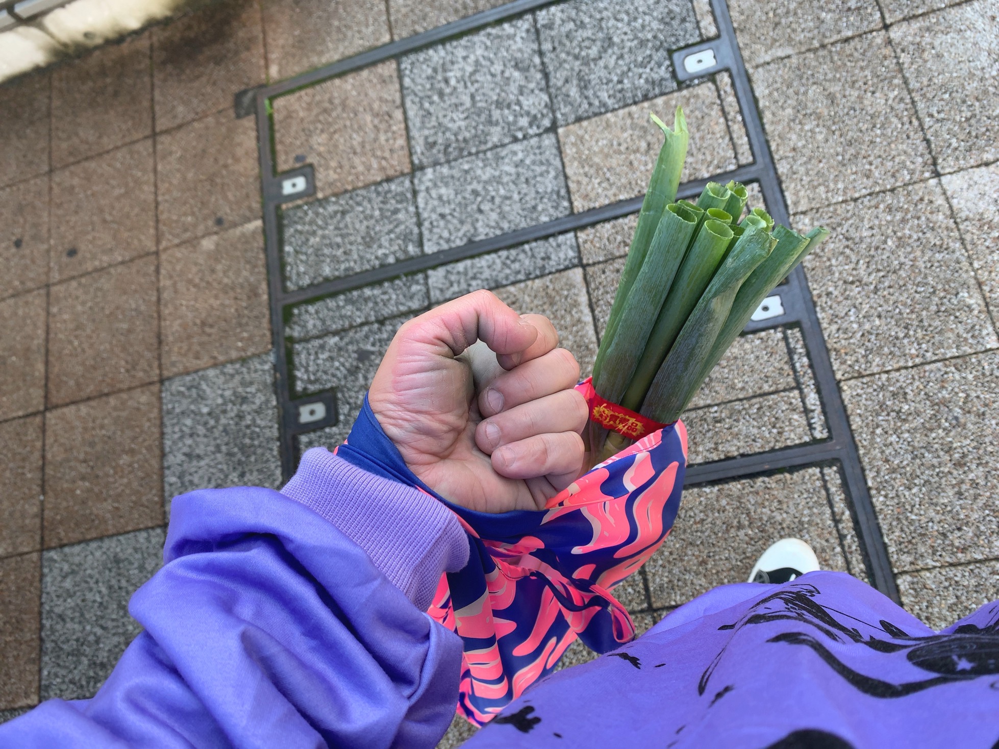 クリックで拡大(撮影:中野龍三)。
