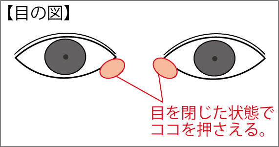 クリックで拡大。