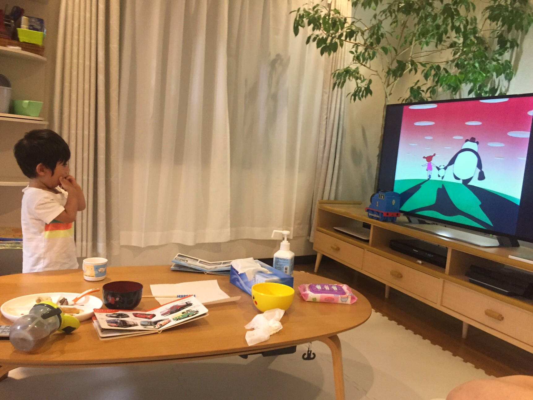クリックで拡大(撮影:中野龍三)。