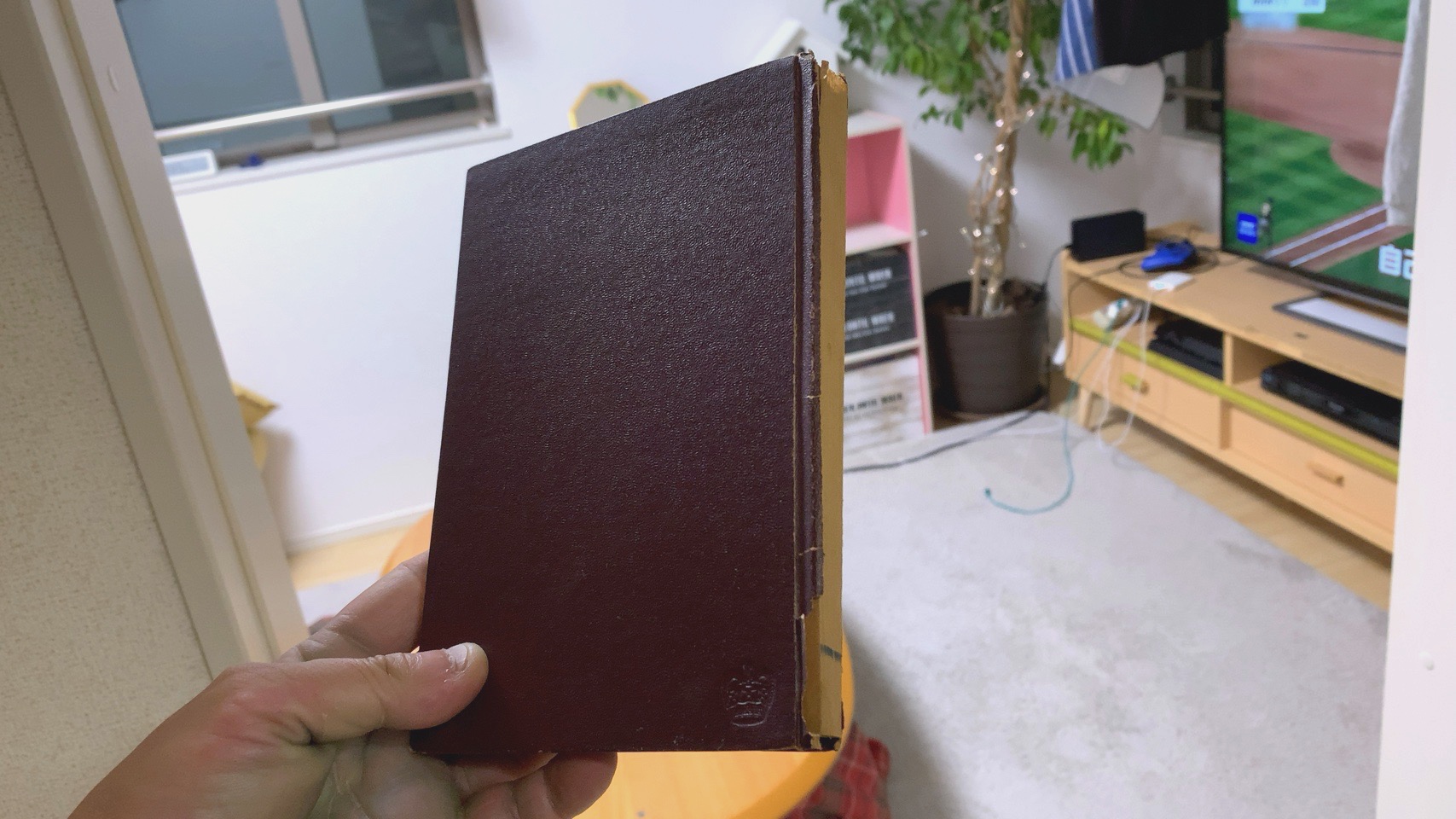 クリックで拡大(撮影:中野龍三)。
