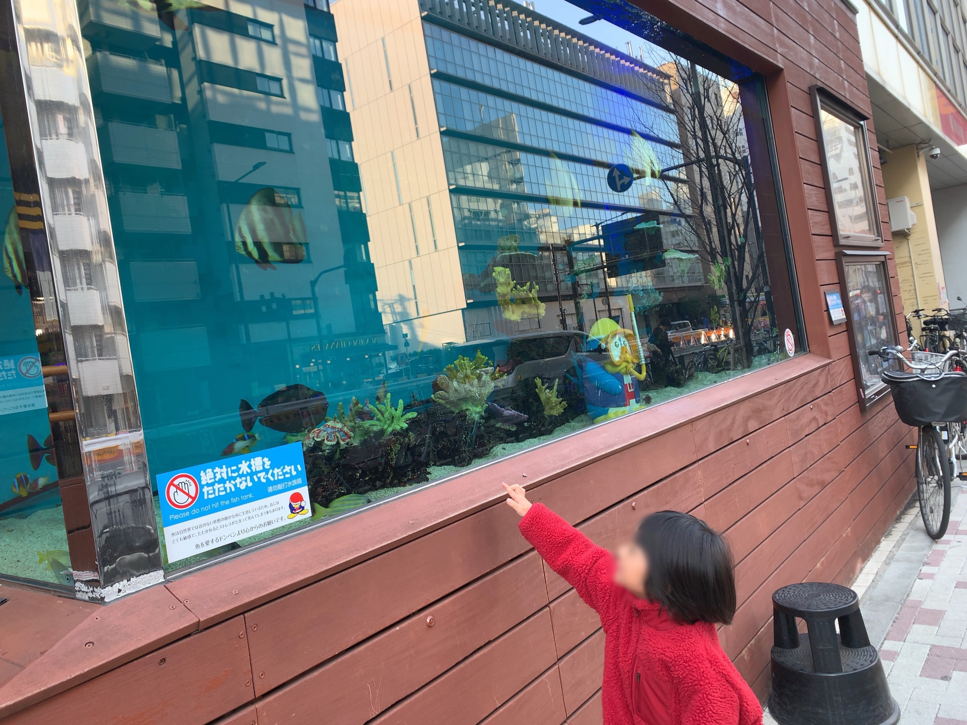 クリックで拡大(撮影:中野龍三)。