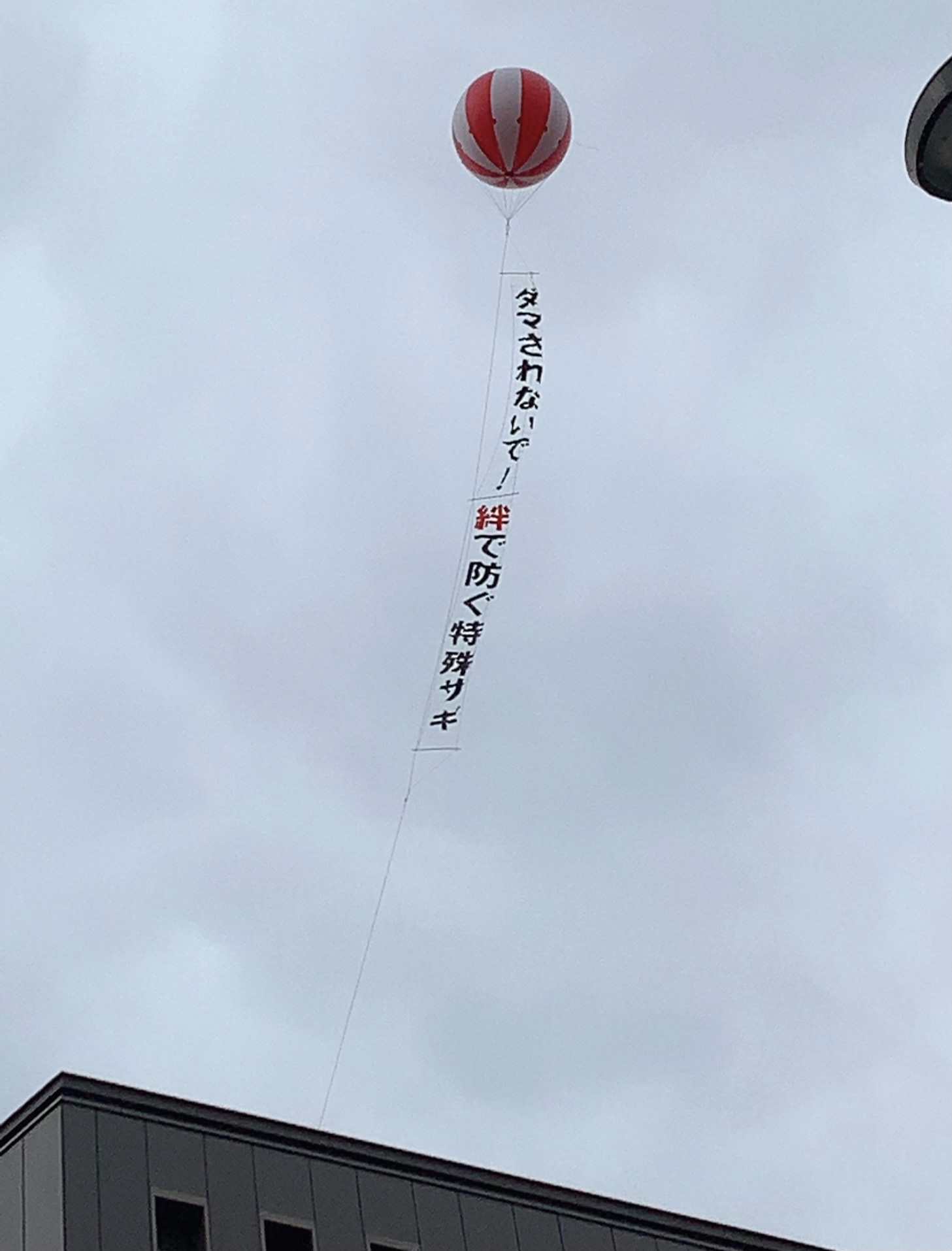 クリックで拡大(撮影:中野龍三)。