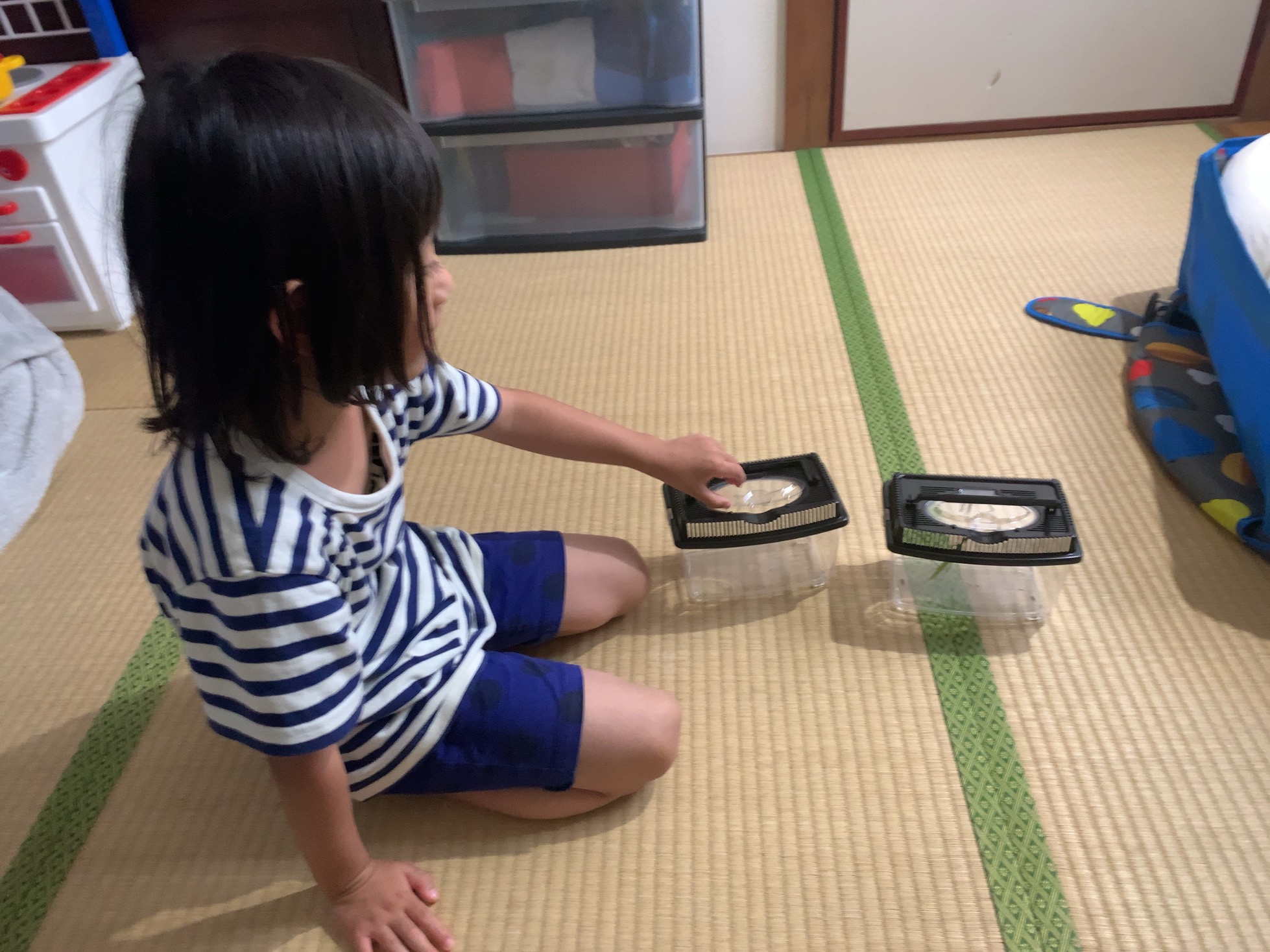 クリックで拡大(撮影:中野龍三)。