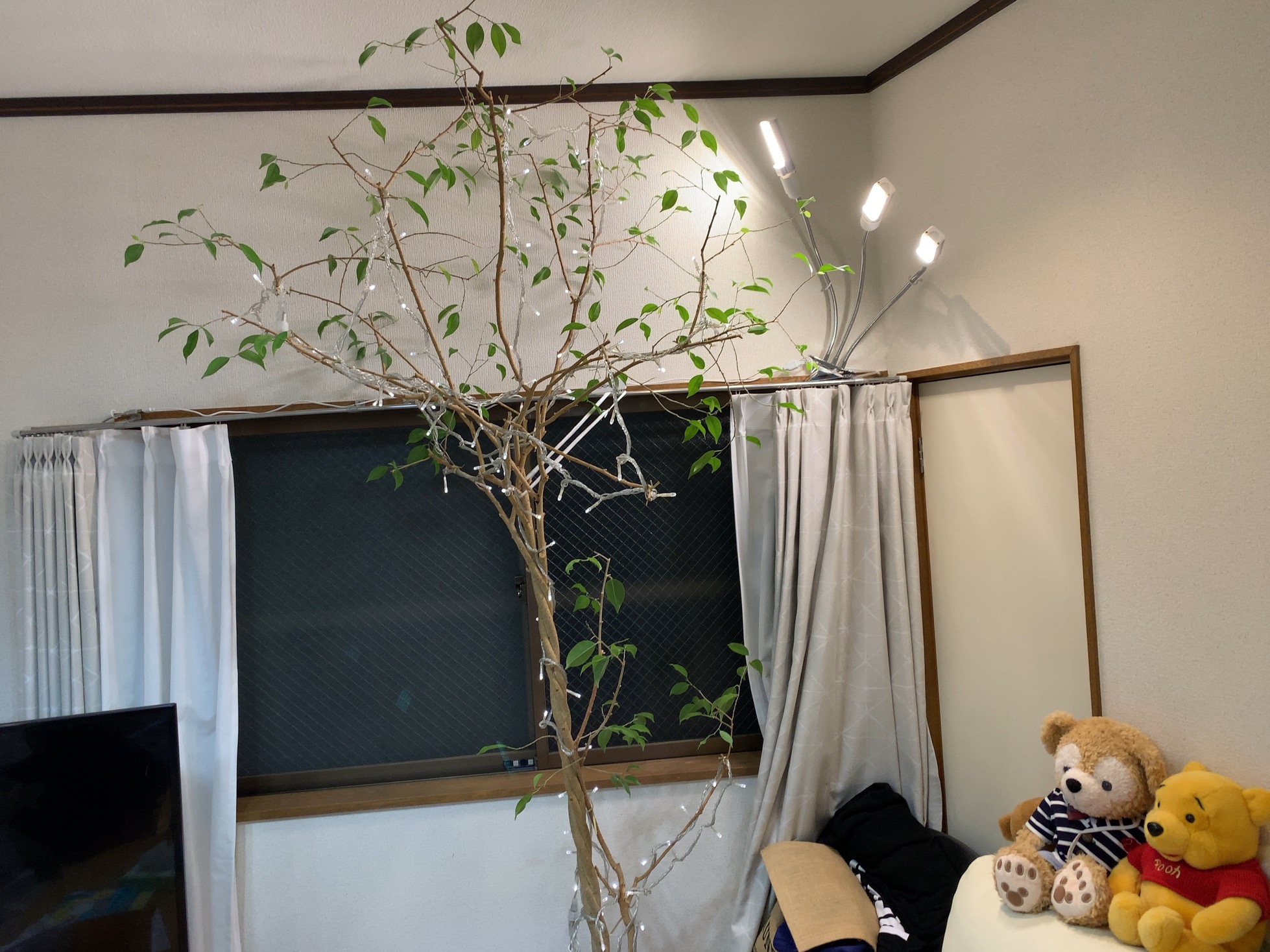 クリックで拡大(撮影:中野龍三)。