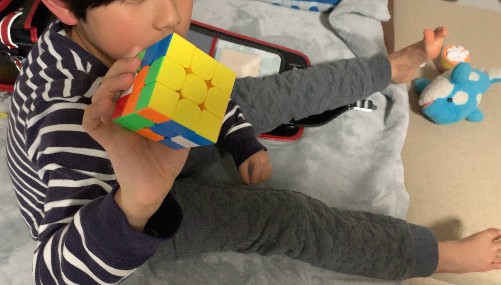 クリックで拡大（撮影：中野龍三）。