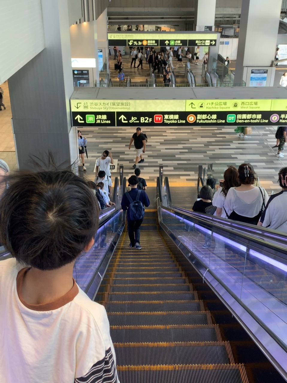 クリックで拡大(撮影:中野龍三)。