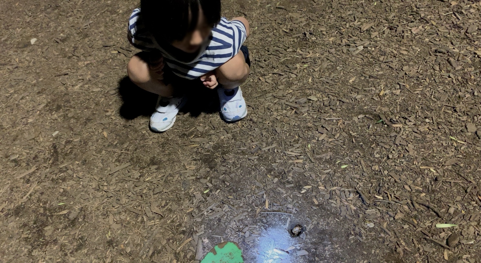 クリックで拡大(撮影:中野龍三)。