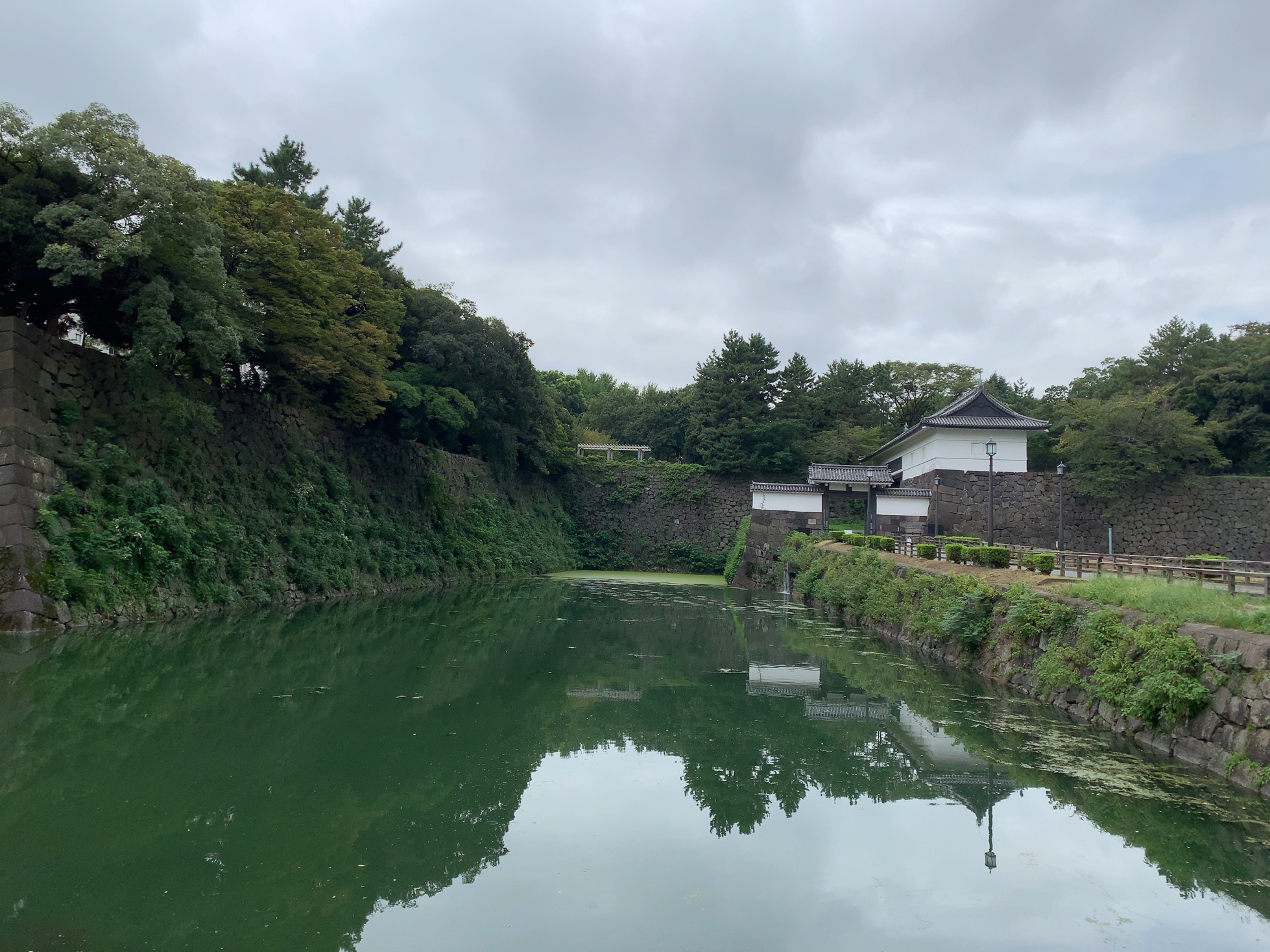 クリックで拡大(撮影:中野龍三)。
