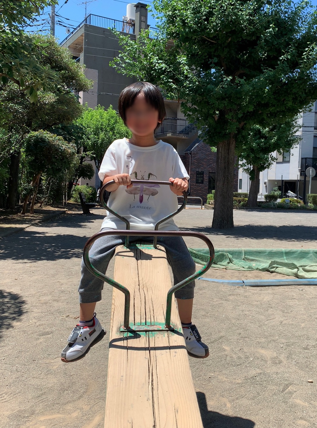 クリックで拡大(撮影:中野龍三)。