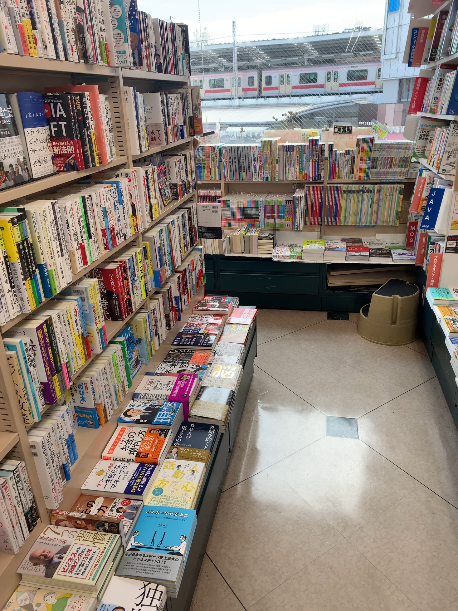 クリックで拡大(撮影:中野龍三)。