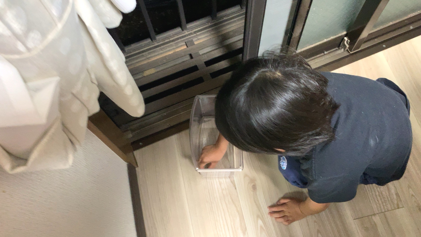 クリックで拡大(撮影:中野龍三)。