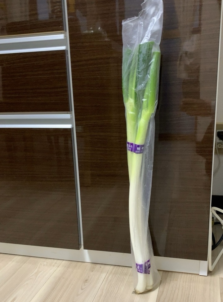 クリックで拡大(撮影:中野龍三)。