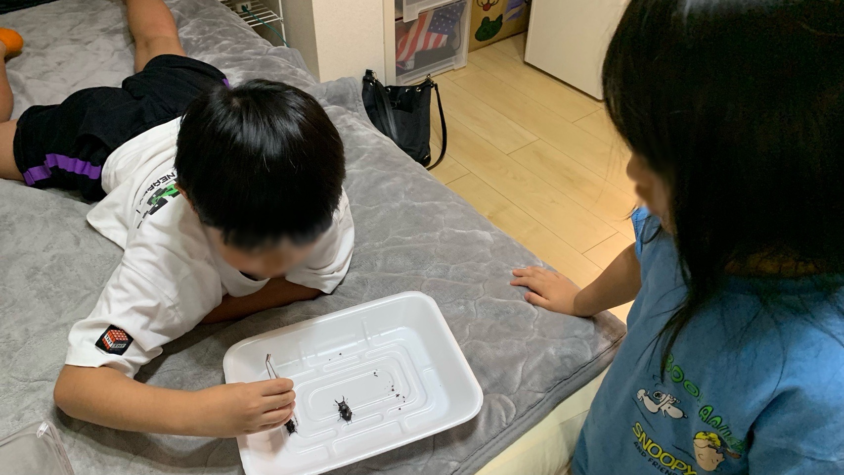 クリックで拡大(撮影:中野龍三)。