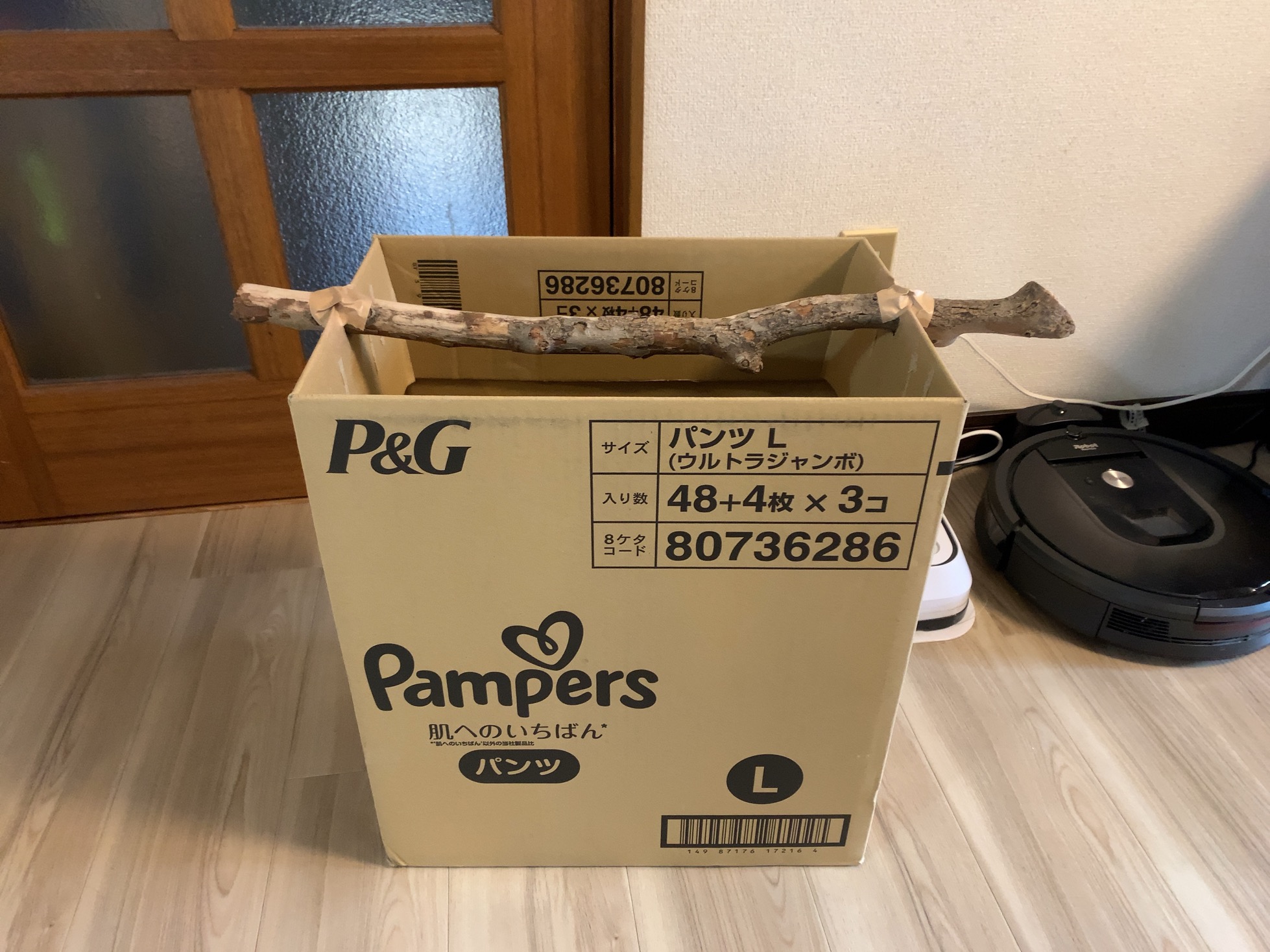 クリックで拡大(撮影:中野龍三)。
