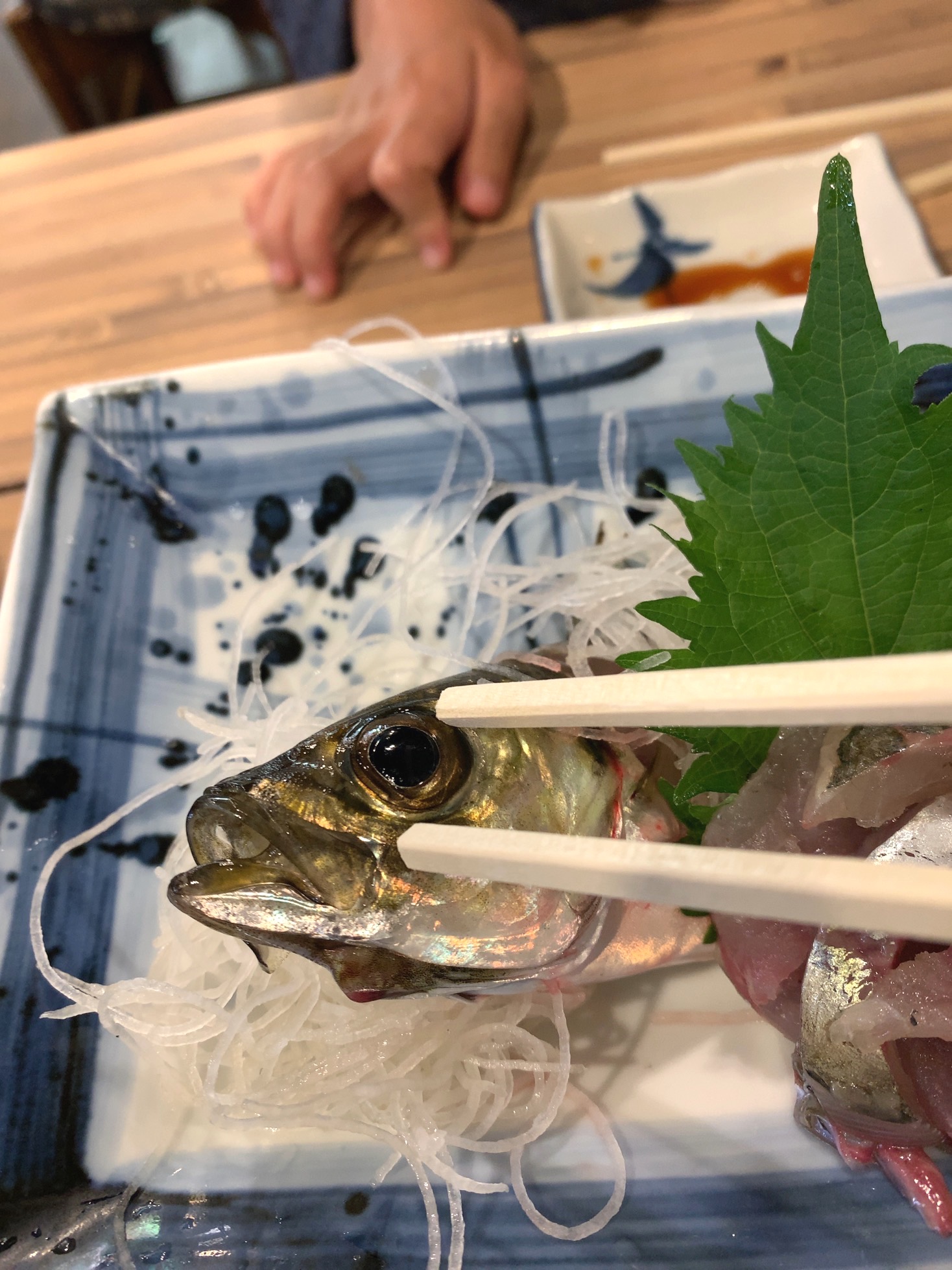 クリックで拡大(撮影:中野龍三)。