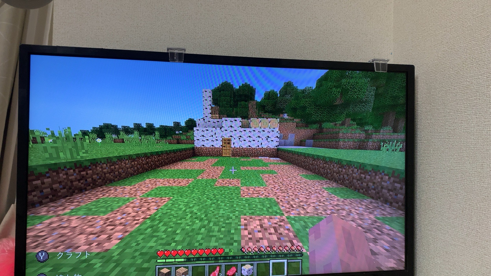 クリックで拡大(撮影:中野龍三)。