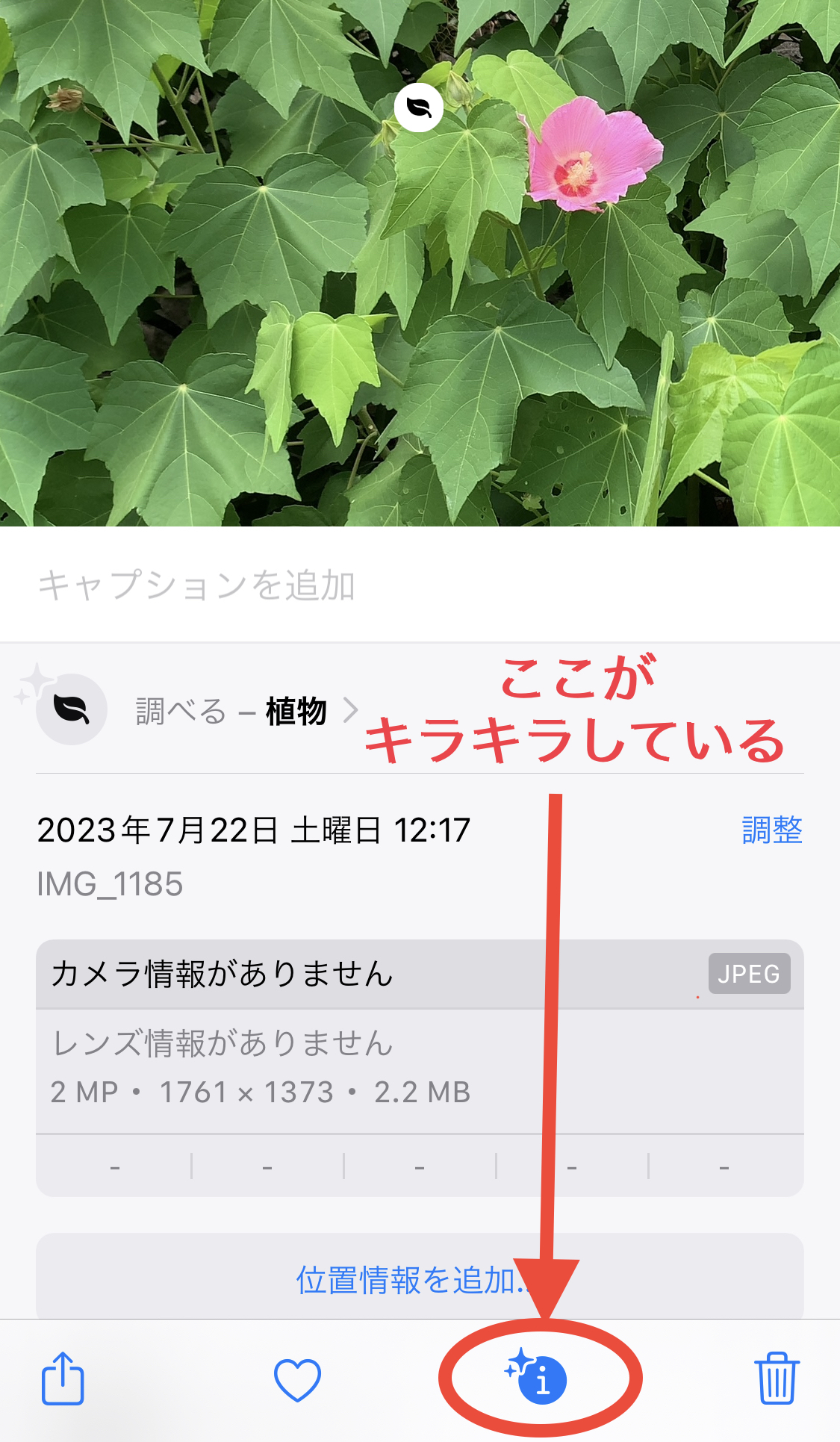 クリックで拡大(撮影:中野龍三)。