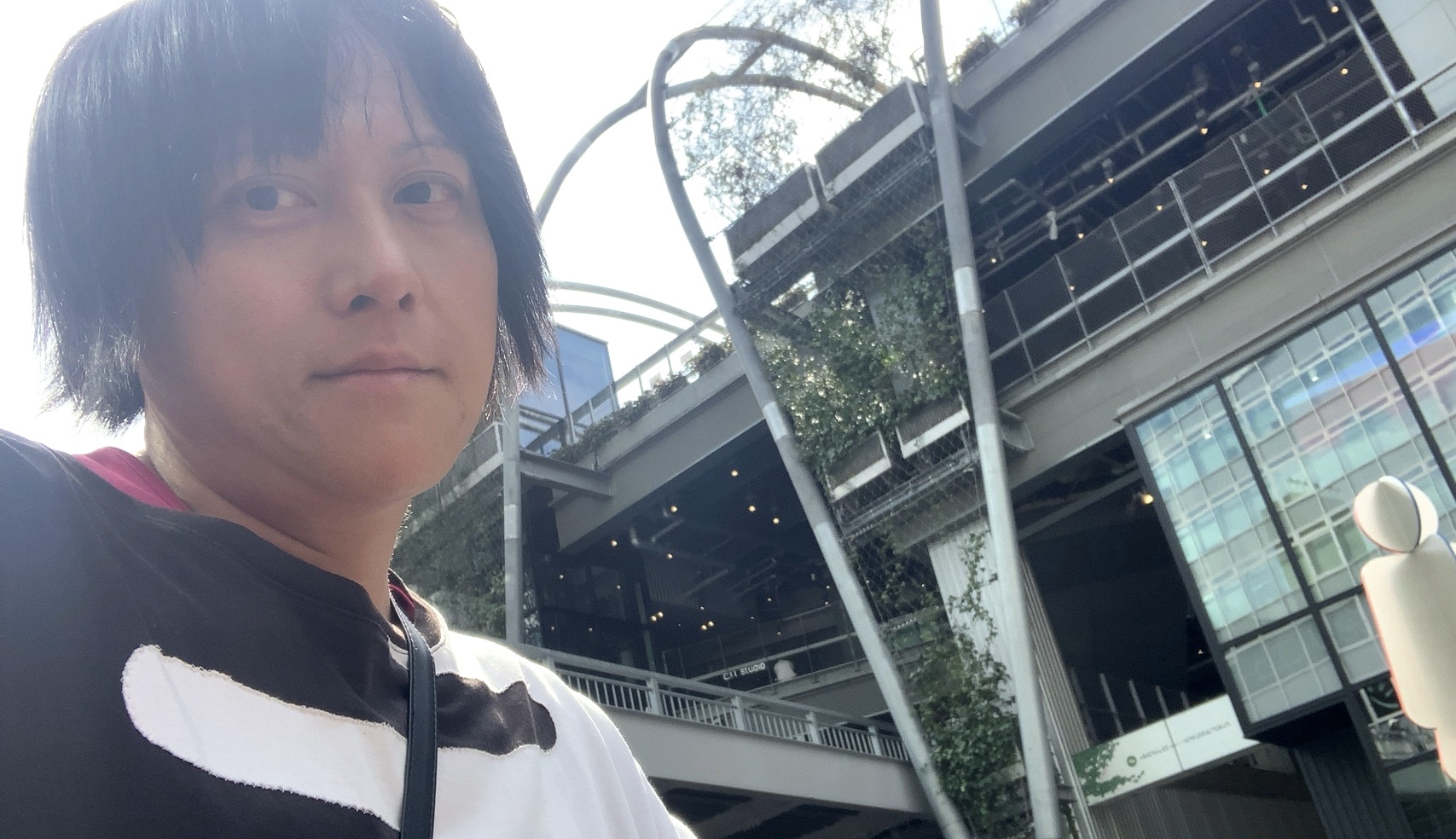 クリックで拡大(撮影:中野龍三)。