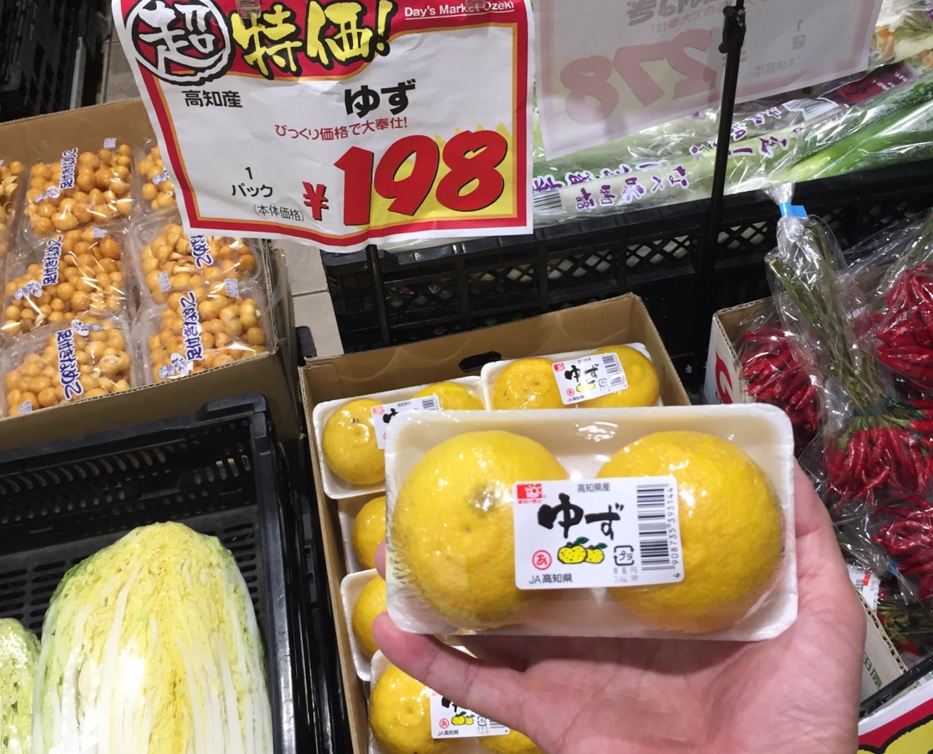 クリックで拡大(撮影:中野龍三)。