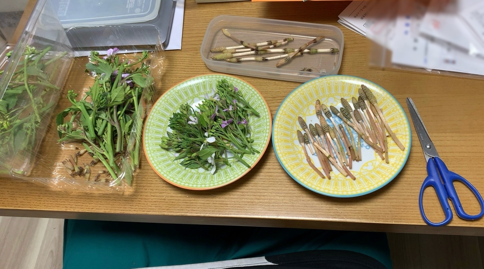 クリックで拡大(撮影:中野龍三)。