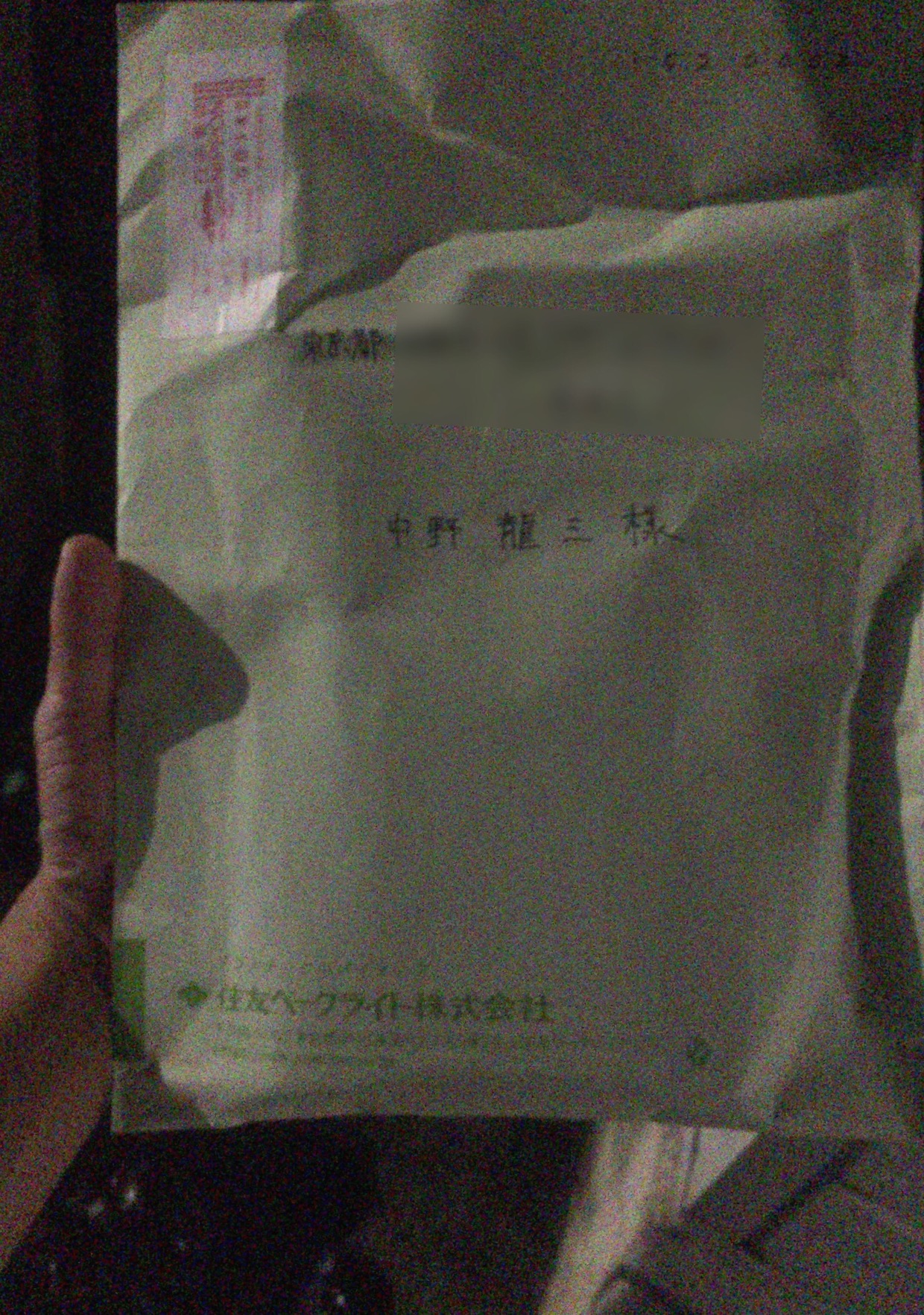 クリックで拡大(撮影:中野龍三)。