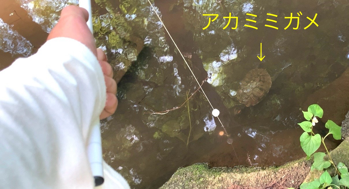 クリックで拡大(撮影:中野龍三)。