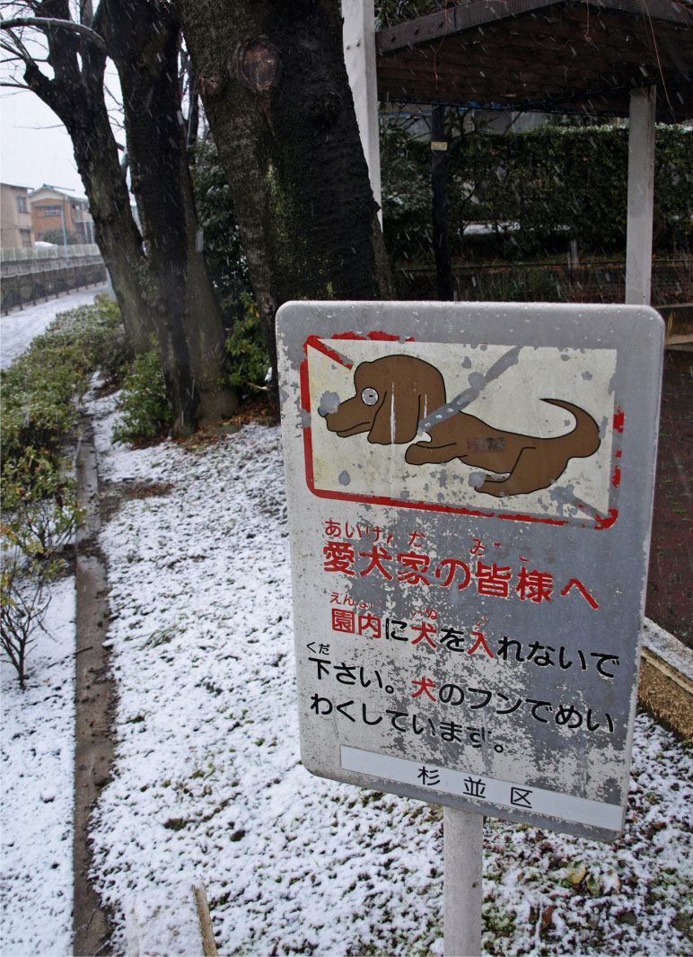 クリックで拡大。