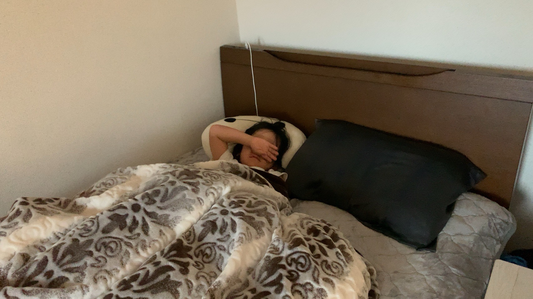 クリックで拡大(撮影:中野龍三)。