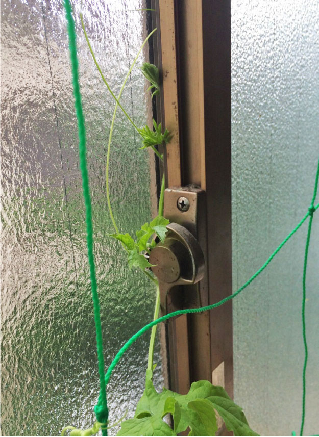 クリックで拡大。