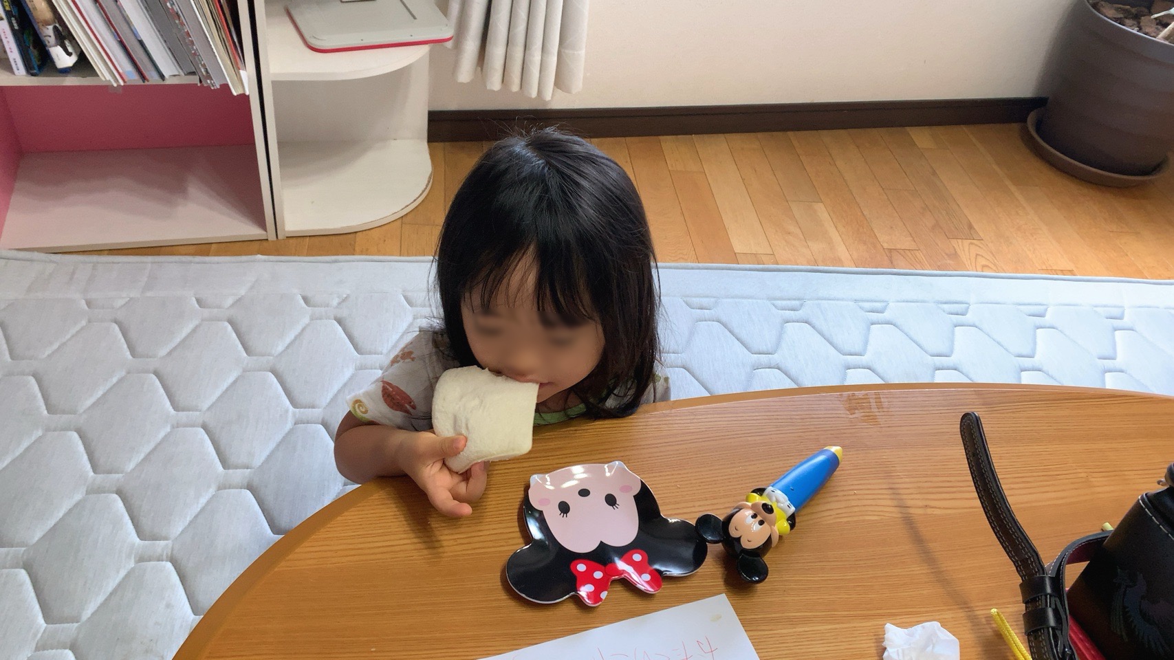 クリックで拡大(撮影:中野龍三)。