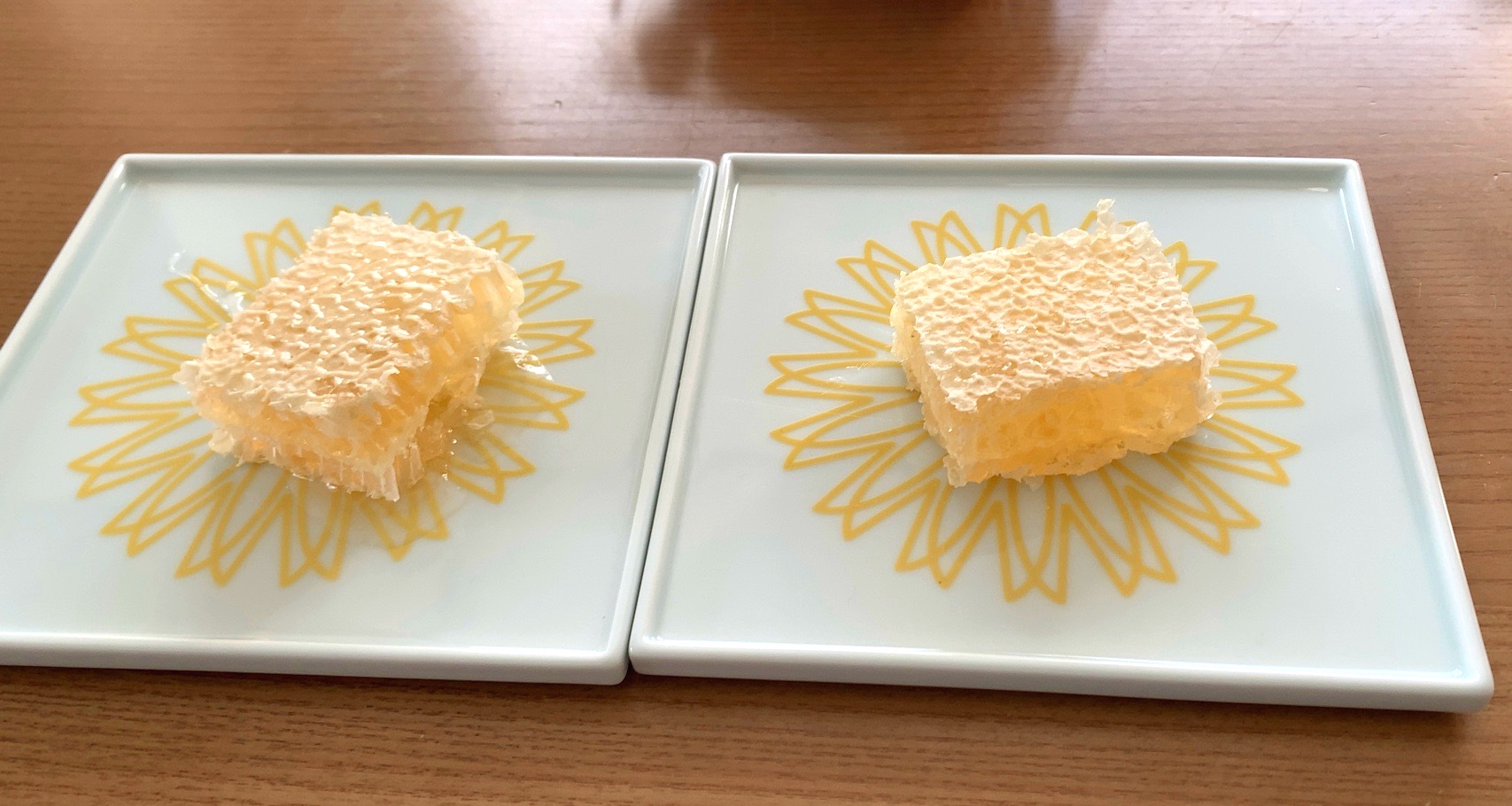 クリックで拡大(撮影:中野龍三)。