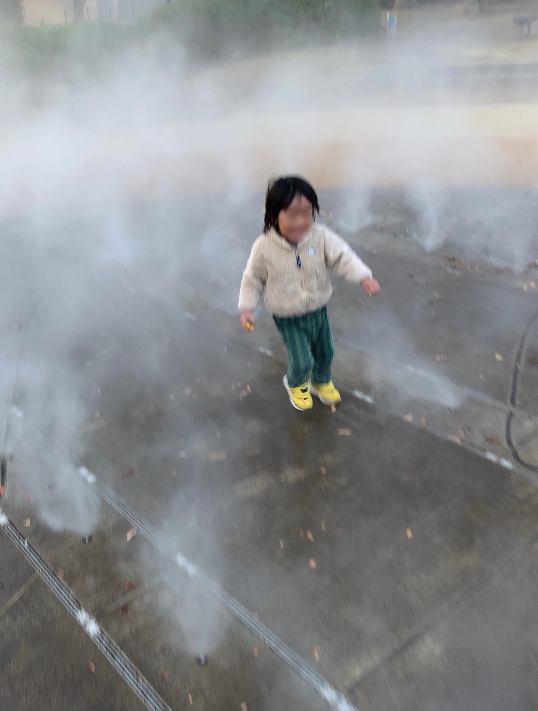 クリックで拡大(撮影:中野龍三)。